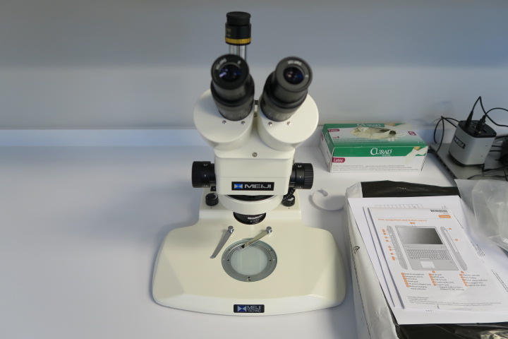 215_30_1534970019.JPG