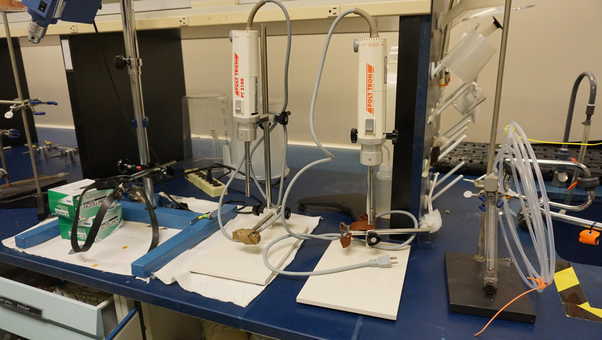 240_49_1558116984..jpg