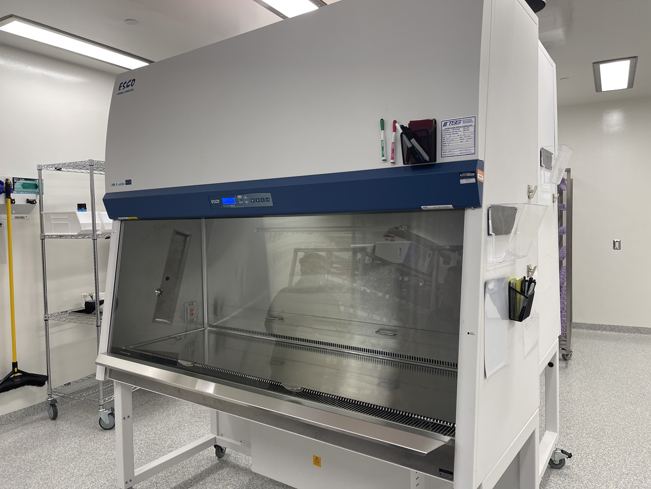 484_3_1668801138..jpg